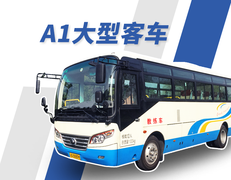 A1大型客车